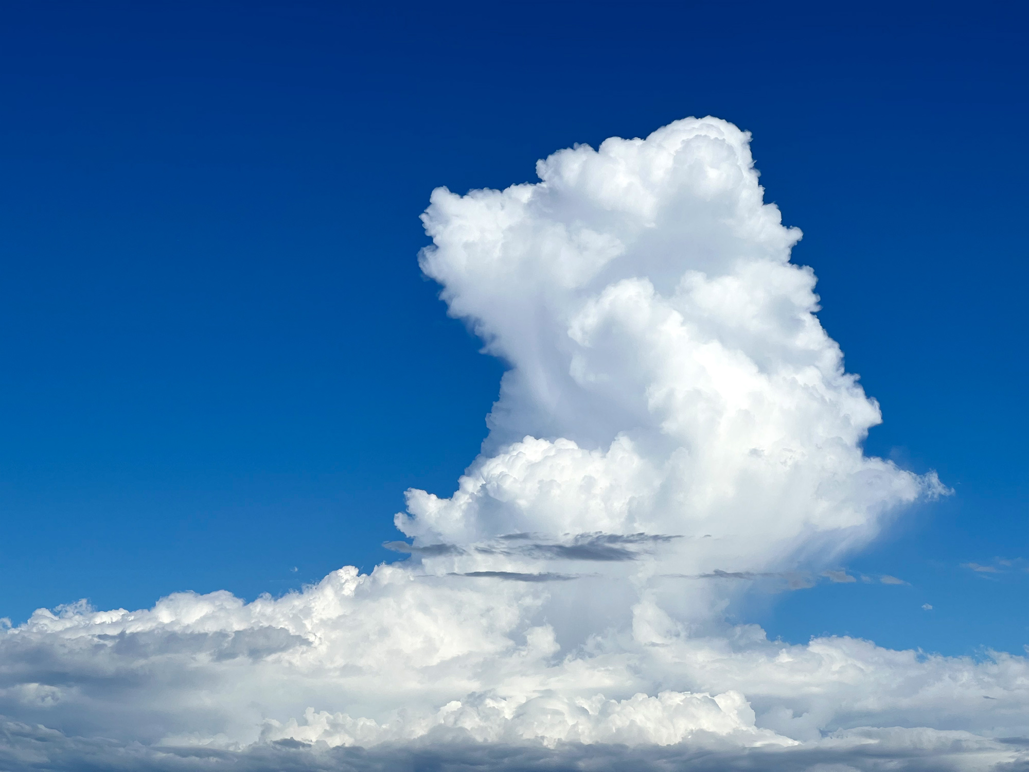 夏の風物詩、入道雲